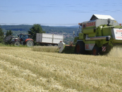 Mähdrescher auf dem Feld